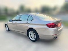 2015 BMW 5 Series 2014 2.0T AT 525LiLeading #7
