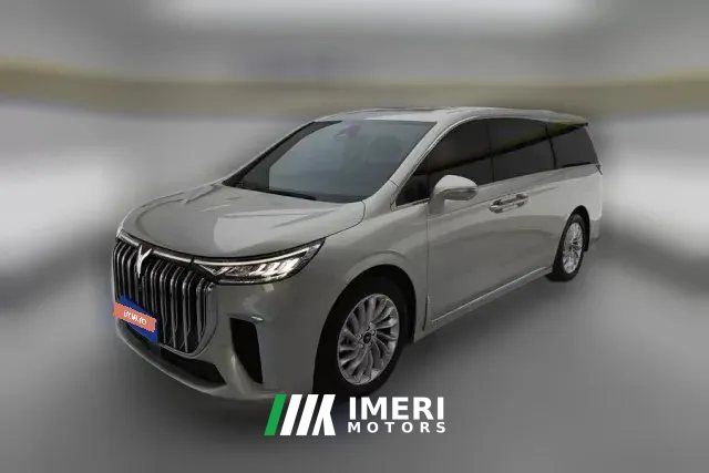 2023 Voyah Dreamer 2022 low carbonEdition think+Smart driving bag