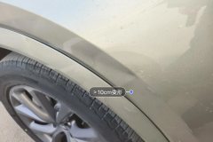 მარცხენა წინა ფრთა (კრილო)