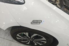 Left Front Fender