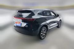 2025 Haval H6 2024 1.5T AT 2WDClassic #3