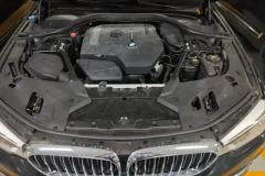 2018 BMW 5 Series 2018 2.0T AT 530LiExclusiveLuxury Pkg Facelift #10