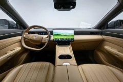 2025 Dongfeng Fengshen Dongfeng Fengshen L8 2025 185KMdreamEdition #14