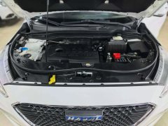 2018 Haval M6 2018 1.5T AT Elite FWD Facelift #14