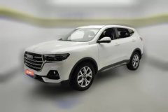 2021 Haval H6 2021 1.5T AT China tideChampion #1