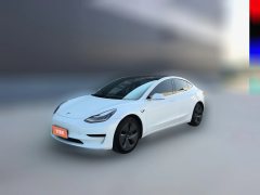 2020 Tesla Model 3 2021 StandardBattery lifeRWDUpgradeEdition #1
