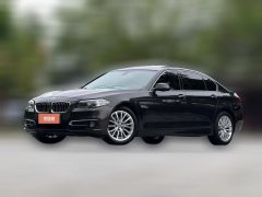 2016 BMW 5 Series 2014 2.0T AT 525LiLuxuryDesign Pkg #5