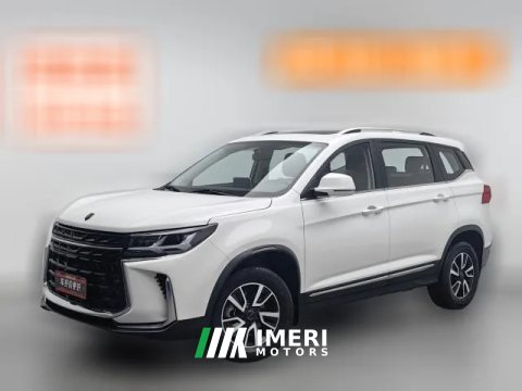 2024 Dongfeng Fengxing Fengxing T5 2024 1.6L CVT Shengshi Dream Edition 5-Seater