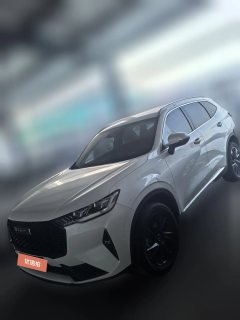 2022 Haval H6 2021 2.0T AT No.3generation4WDMax #1