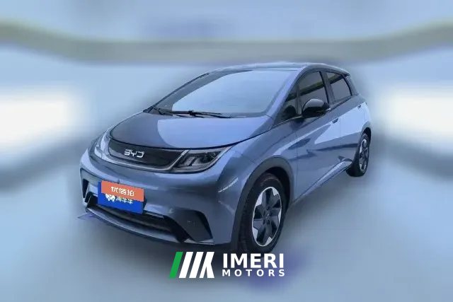 2025 BYD Dolphin 2025 Smart Drive 420km freeEdition