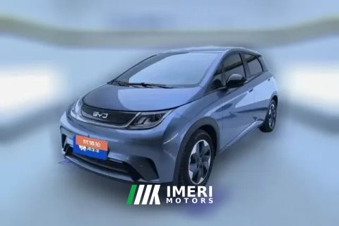 2025 BYD Dolphin 2025 Smart Drive 420km freeEdition