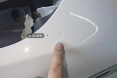 Left Front Fender