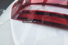 Left Rear Taillight Assembly