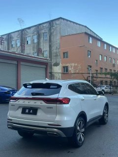 2024 Haval H6 2023 China tideEdition 1.5T AT Champion #6