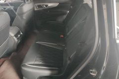2024 GAC Trumpchi Trumpchi GS8 2025 PilotSeries 2.0TGDI AT 2WDLuxury 5Seat #11