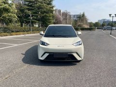 2025 BYD Seagull 2025 Smart Drive 305km freeEdition #8