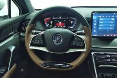 2023 BYD Tang PHEV 2021 1.5T AT DM-i 112KM Premium #15