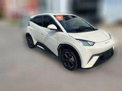 2024 BYD Seagull 2024 Glory 305KM freeEdition #3