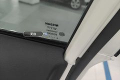 Right Front Window Glass
