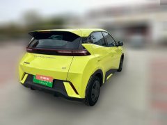 2024 BYD Seagull 2024 Glory 305km vitalityEdition #2
