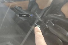 Windshield