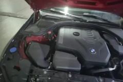 2020 BMW 3 Series 2020 2.0T AT 325LiFirst Edition #10