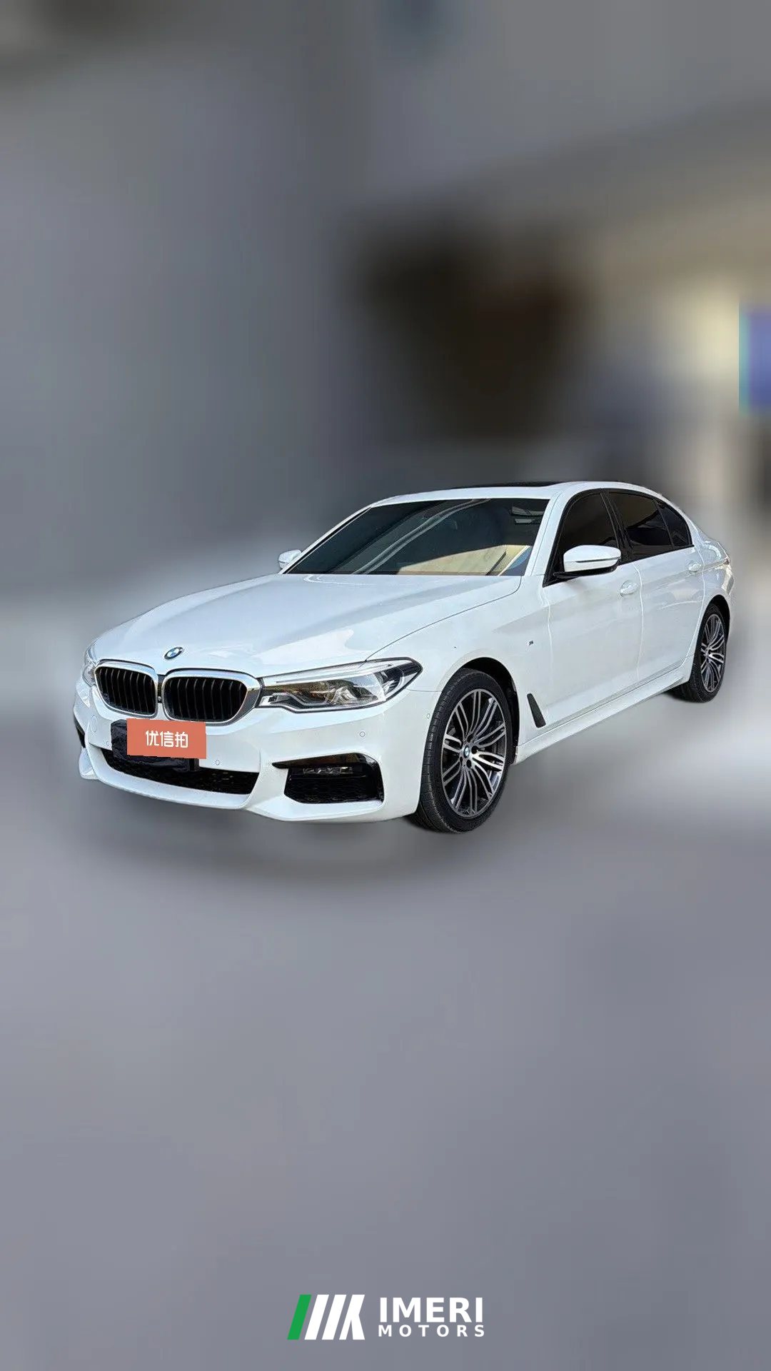2019 BMW 5 Series 2019 2.0T AT 530LiExclusiveMSport Pkg