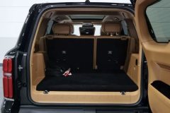 2025 Tank 500 PHEV 2024 Hi4-T 2.0T AT #20