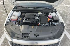 2024 BYD Qin Plus 2024 Glory 1.5L AT DM-i 55KMLeading #10