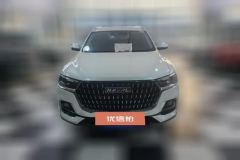 2024 Haval H6 2023 China tideEdition 1.5T AT Champion #2