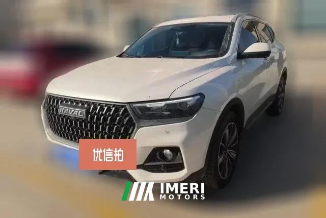 2024 Haval H6 2023 China tideEdition 1.5T AT Champion