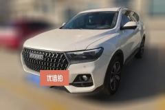 2024 Haval H6 2023 China tideEdition 1.5T AT Champion #1