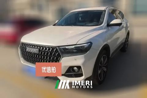 2024 Haval H6 2023 China tideEdition 1.5T AT Champion