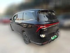 2024 Dongfeng Fengxing Dongfeng Fengxing Xinghai V9 2024 1.5TD 200km middleChina KnotSeries Luxury #2