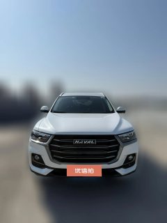 2021 Haval H6 2021 1.5T AT China tideChampion #3