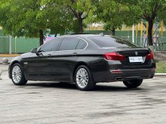2016 BMW 5 Series 2014 2.0T AT 525LiLuxuryDesign Pkg #18
