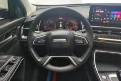 2023 Haval H6 2023 China tideEdition 1.5T ATUrbanEdition #15
