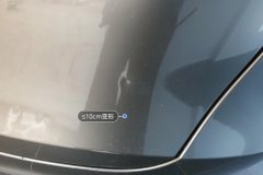 Trunk Lid
