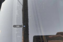 Windshield