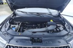 2023 Haval H6 2023 China tideEdition 1.5T AT Champion #10