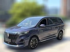 2021 Roewe iMAX8 2021 2.0T AT 400TGIFlagship #1
