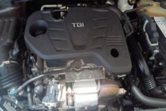 2021 MG MG5 2021 1.5T AT 300TGI DCTGreen luxury trendEdition #10
