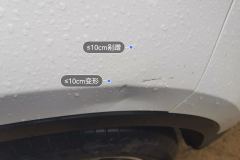 Right Front Fender