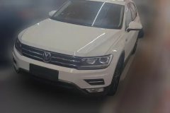 2019 Volkswagen Tiguan L 2019 1.4T AT 280TSIpanoramicComfortFWD China VI #1