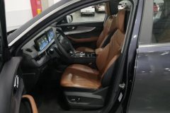 2020 Chery Tiggo 8 Plus 2021 1.6T 290TGDI DCTenjoyEdition #13