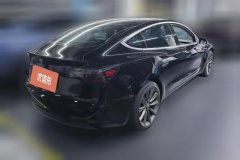 2021 Tesla Model 3 2020 StandardBattery lifeRWDUpgradeEdition #3