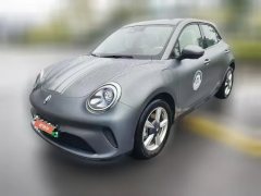 2025 Ora Good Cat GT 2025 430km Mulan Edition Honor #1