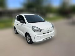 2020 Roewe Clever 2021 302km AT Excellence #3