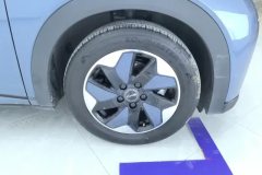 2025 BYD Dolphin 2025 Smart Drive 420km freeEdition #6