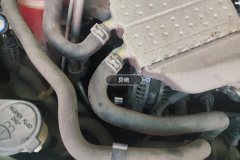 Engine Belt